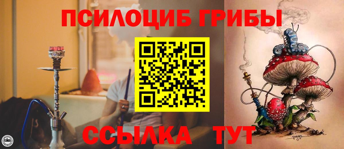 Пенза  Галлюциногенные грибы Cubensis  Псилоцибиновые грибы прущие грибы  Вход с VPN 