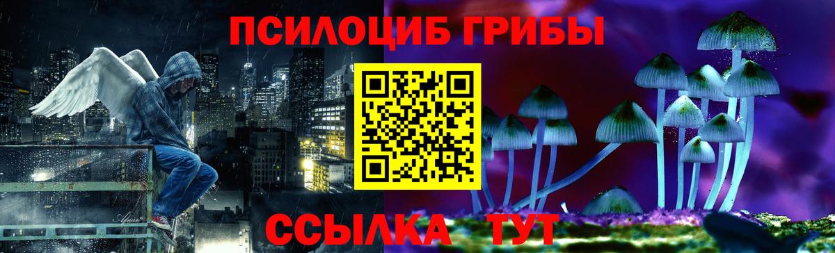 Галлюциногенные грибы прущие грибы Пенза